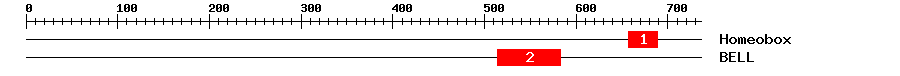Signature Domain