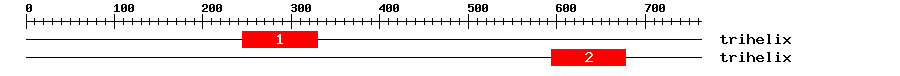 Signature Domain