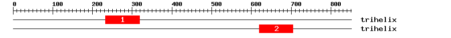 Signature Domain