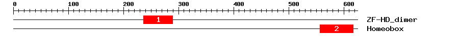 Signature Domain