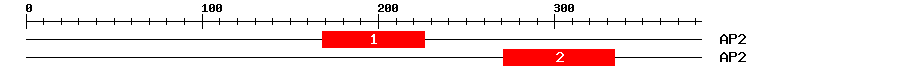 Signature Domain