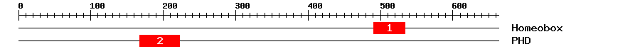 Signature Domain