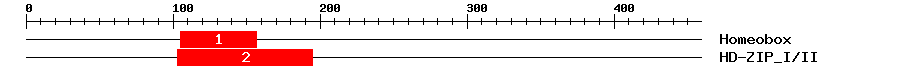 Signature Domain