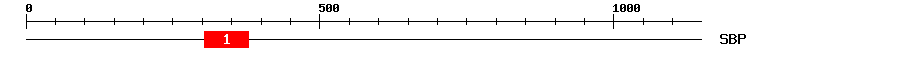 Signature Domain