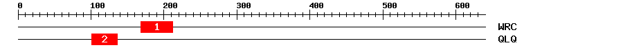 Signature Domain