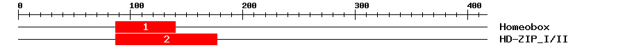 Signature Domain