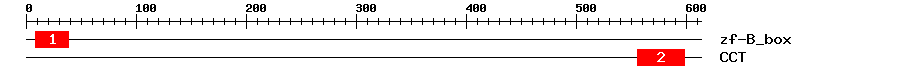 Signature Domain