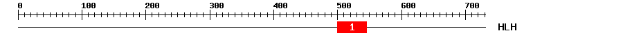 Signature Domain