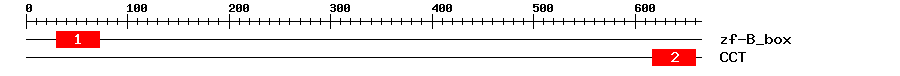 Signature Domain