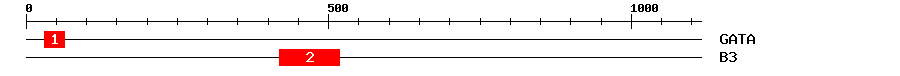 Signature Domain