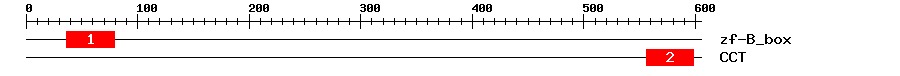 Signature Domain