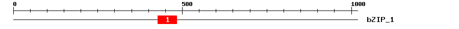 Signature Domain