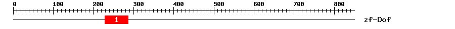 Signature Domain
