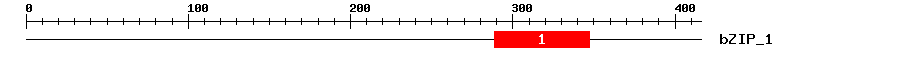 Signature Domain