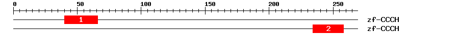 Signature Domain