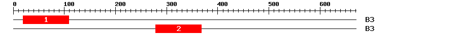Signature Domain