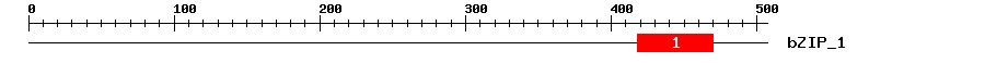 Signature Domain
