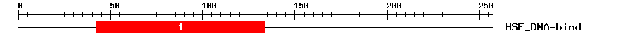 Signature Domain