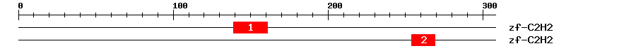 Signature Domain