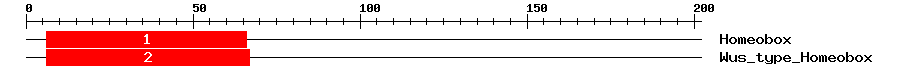 Signature Domain