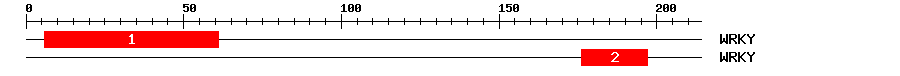 Signature Domain