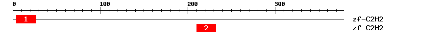Signature Domain