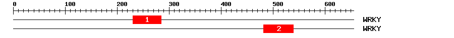 Signature Domain