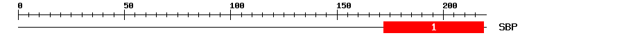 Signature Domain