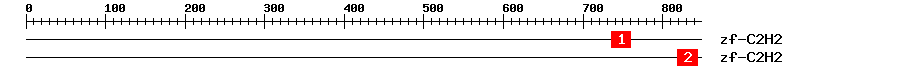 Signature Domain