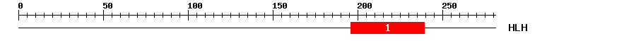 Signature Domain