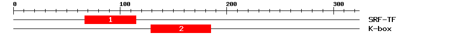 Signature Domain