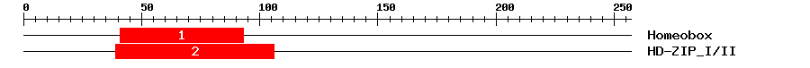 Signature Domain