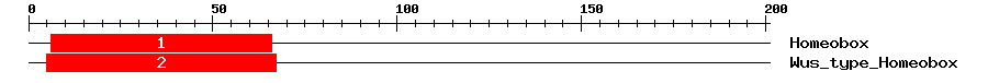 Signature Domain