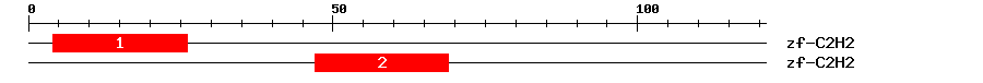Signature Domain