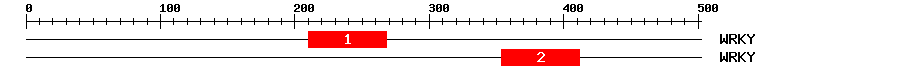 Signature Domain