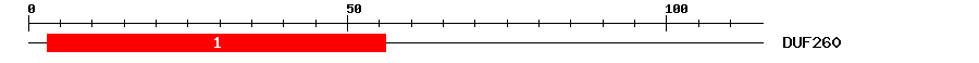 Signature Domain