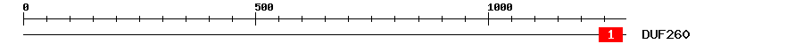 Signature Domain