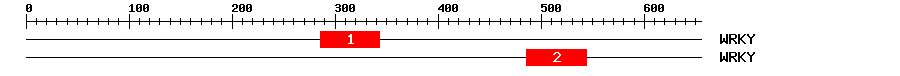 Signature Domain