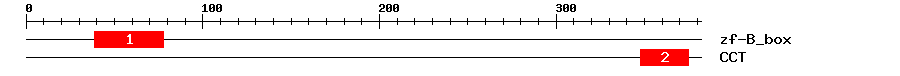 Signature Domain