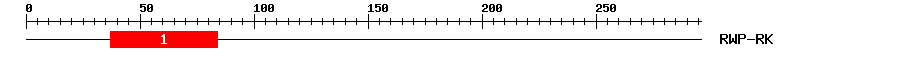 Signature Domain