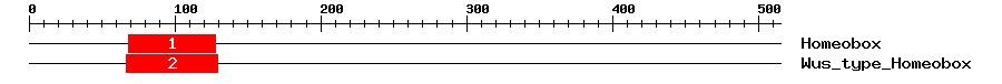 Signature Domain