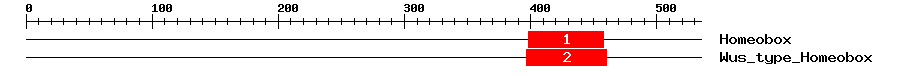 Signature Domain