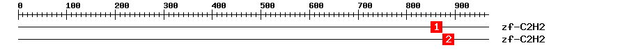 Signature Domain