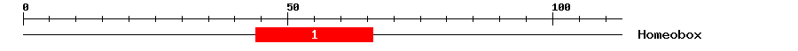 Signature Domain