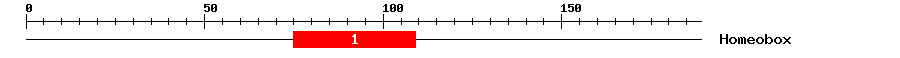 Signature Domain