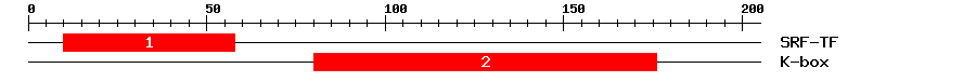 Signature Domain