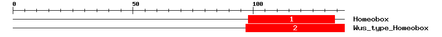 Signature Domain