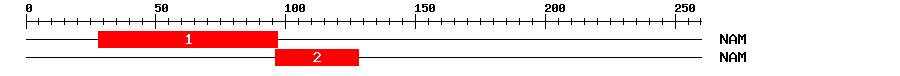Signature Domain