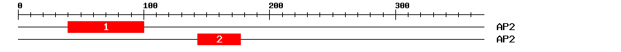 Signature Domain