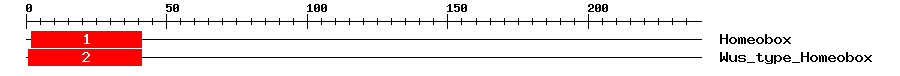 Signature Domain